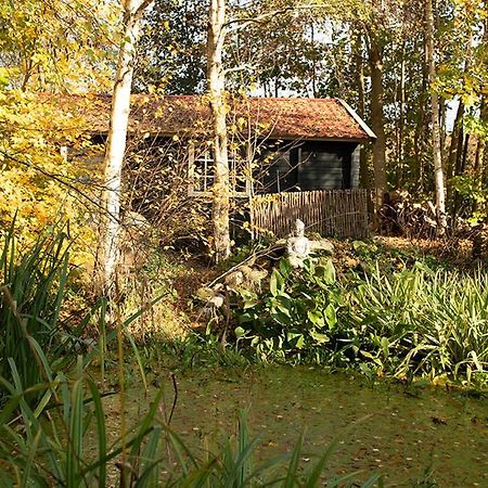 Zizania Villa Noord-Sleen Exterior photo